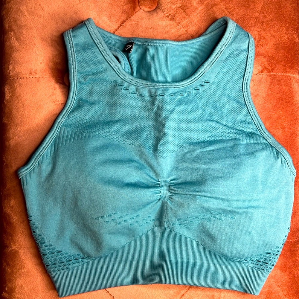 Gymshark blue sports bra